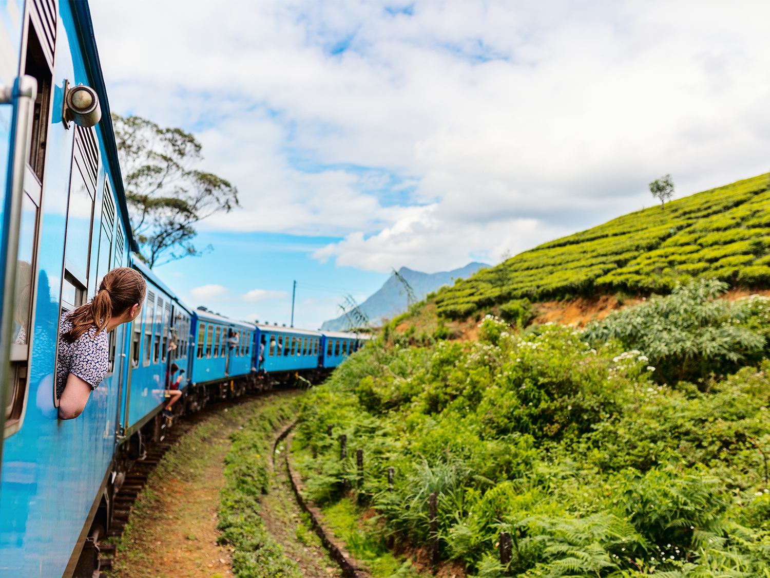 Scenic train ride through Sri Lanka’s highlands with lush tea plantations.