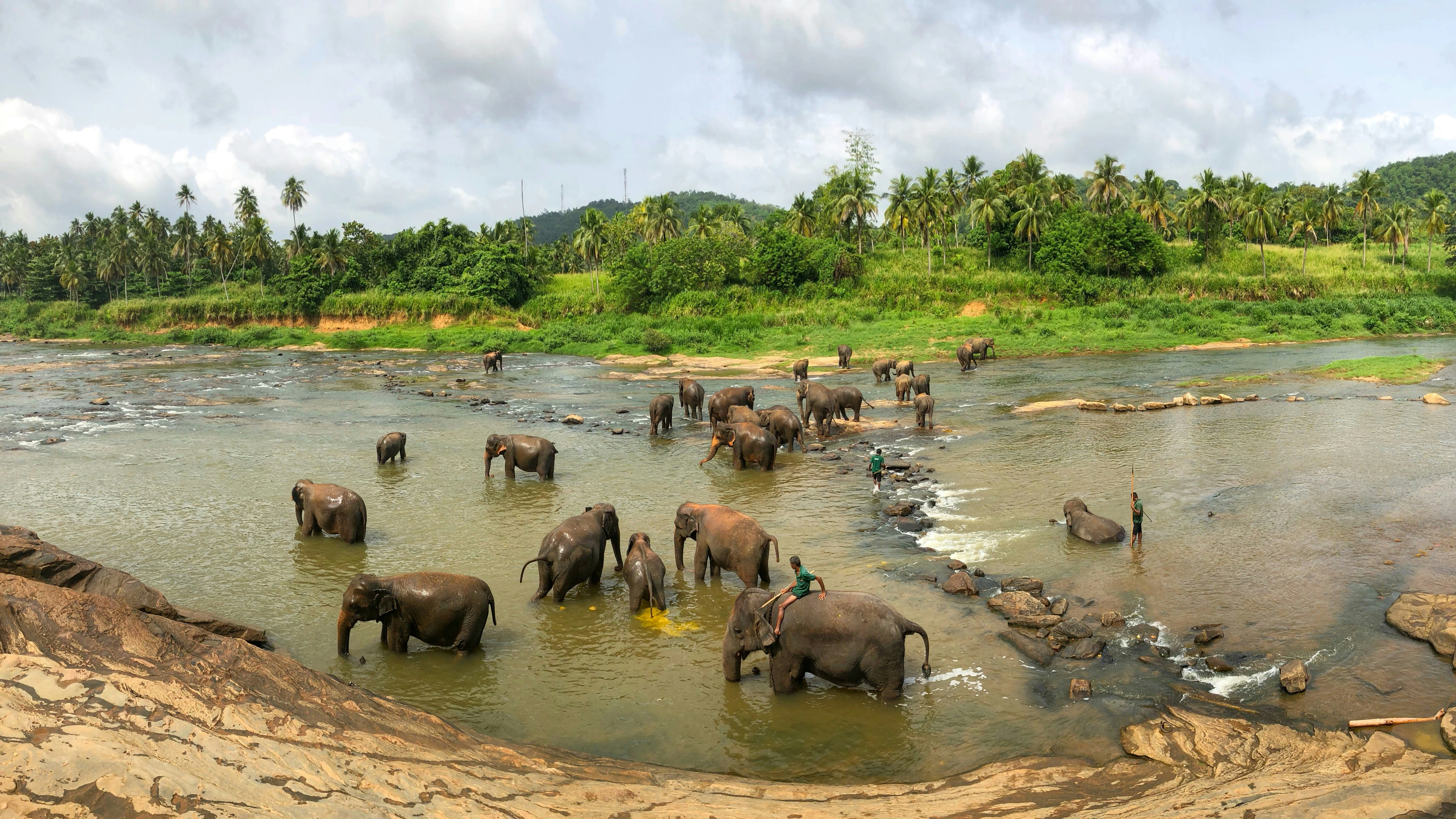 Wilpattu