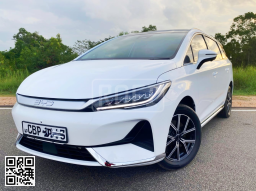 BYD 
