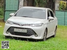 Toyota WXP