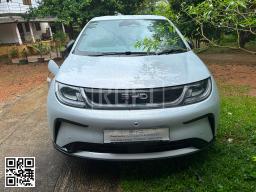 BYD Dolphin Dynamic